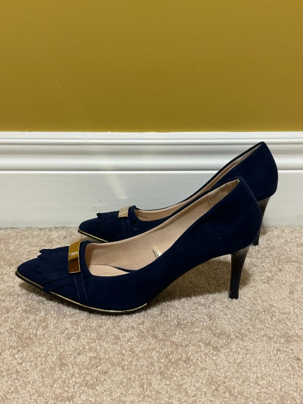 ALDO Navy Blue Pointed-Toe Heels with Gold Hardware